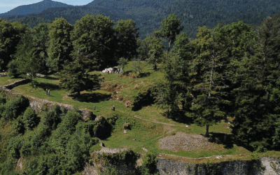 Dimanche 21 septembre 2025 – Kruth (68)